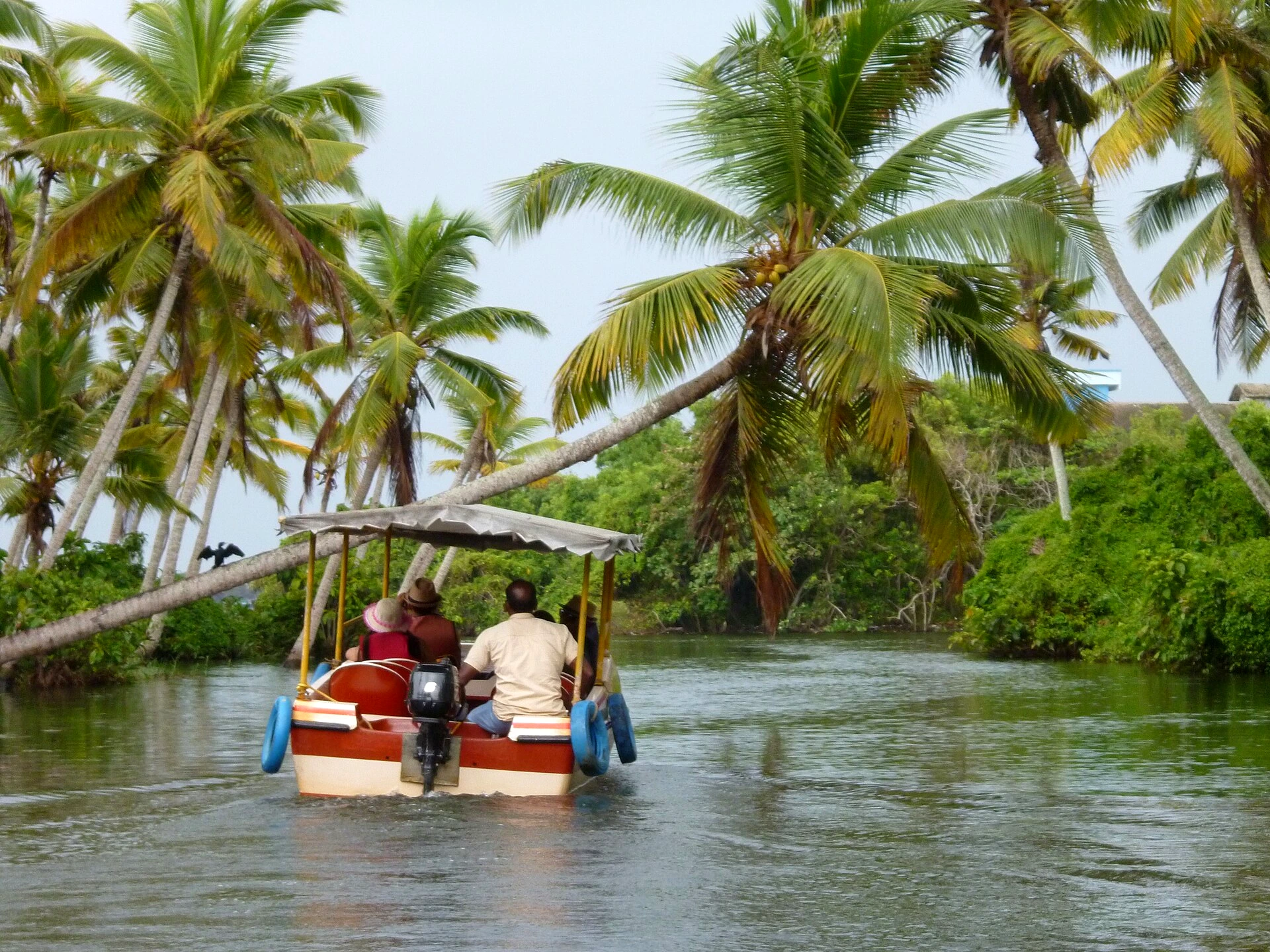 Poovar Backwaters Boat Cruise - Flat Rs 1,200 for up to 7 People