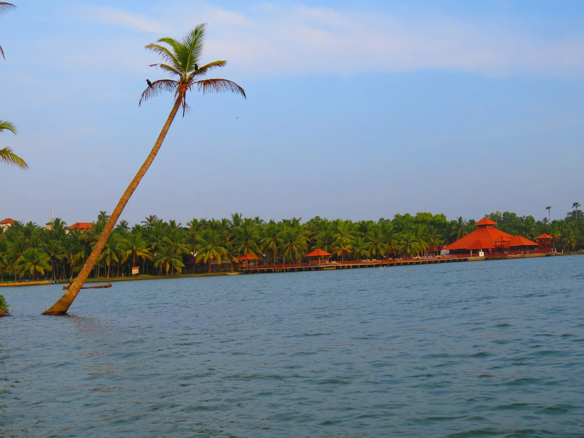 Poovar Backwater Fleet & Native River Navigation